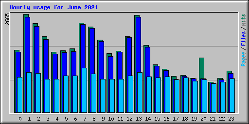 Hourly usage for June 2021