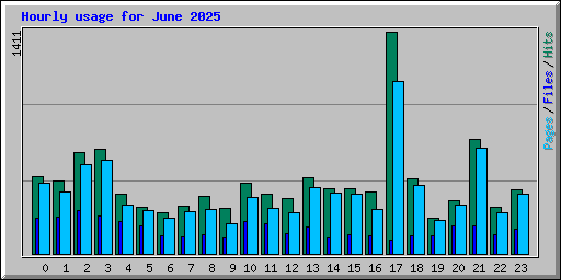 Hourly usage for June 2025