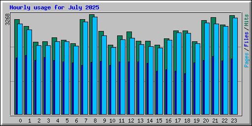Hourly usage for July 2025
