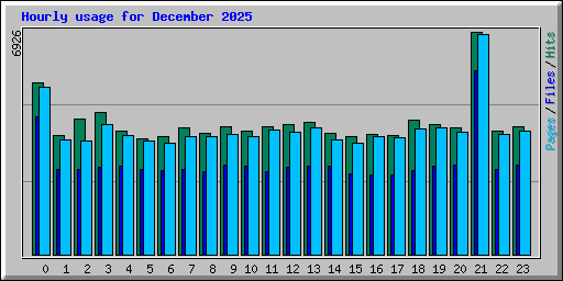 Hourly usage for December 2025